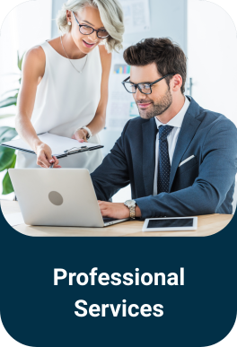 Professional Services